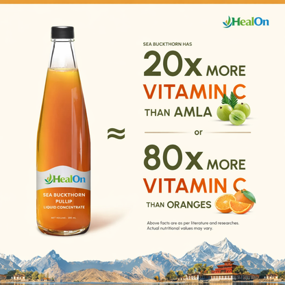 🌿HealOn™ – Sea Buckthorn Juice (Pulp)